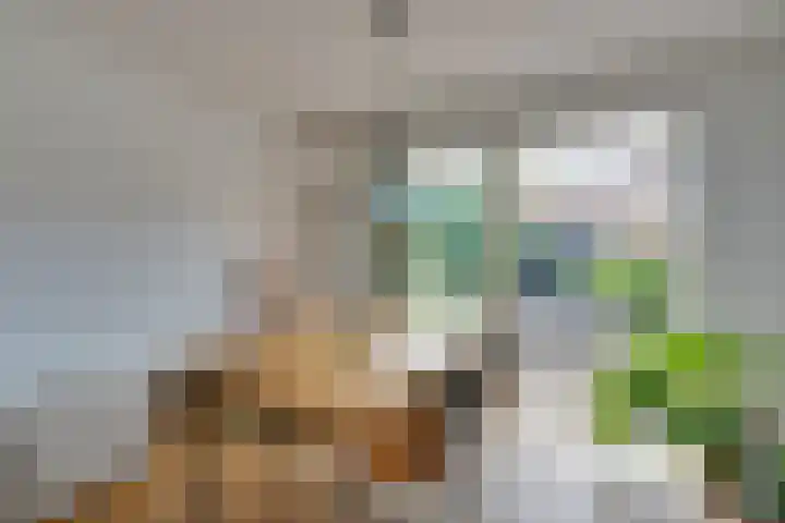 Gasinjetstraat 18 Purmerend thumbnail 19
