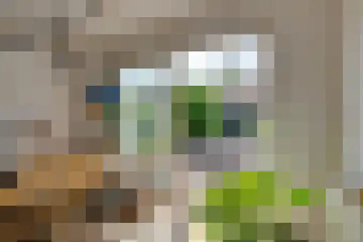 Gasinjetstraat 18 Purmerend thumbnail 25