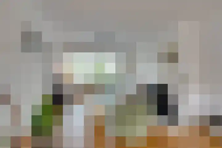 Gasinjetstraat 18 Purmerend thumbnail 9
