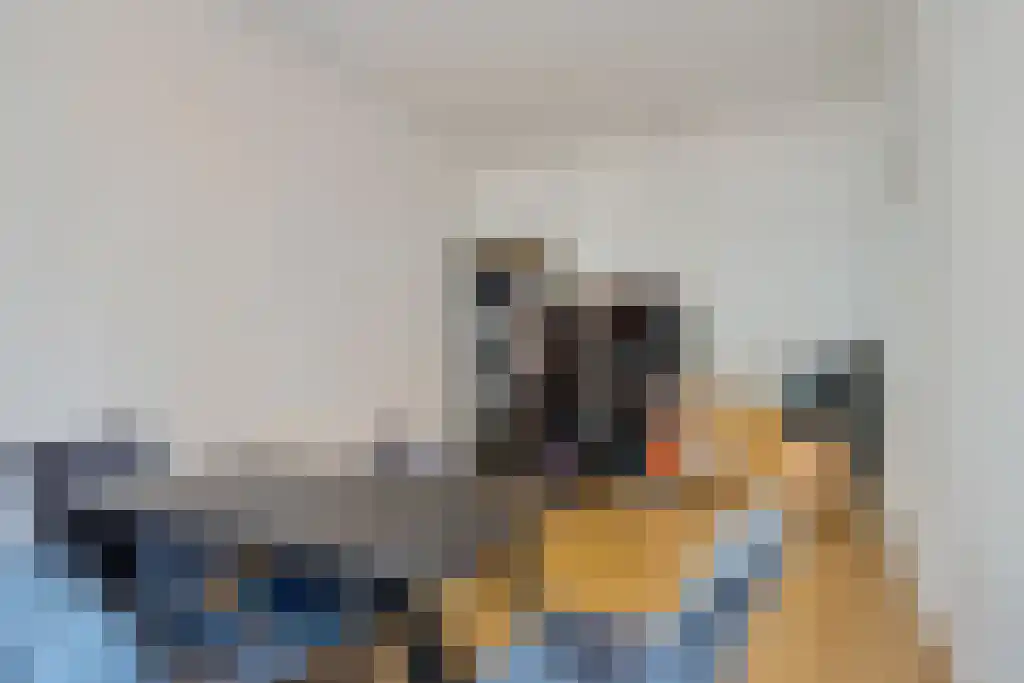 Gaslaan 240 Den Haag thumbnail 11