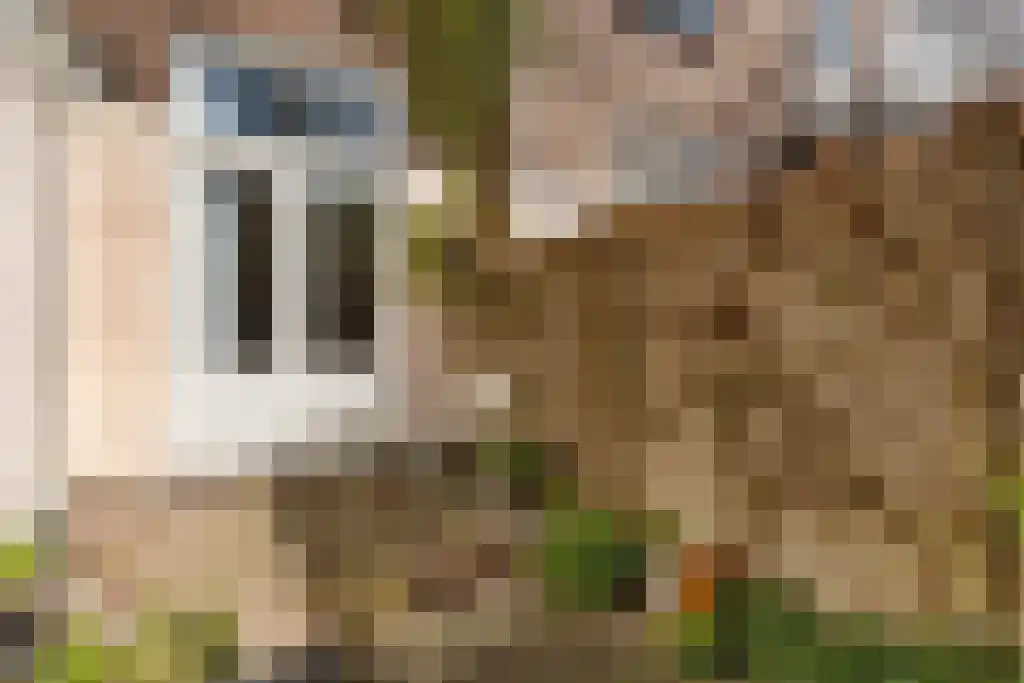 Gaslaan 240 Den Haag thumbnail 26