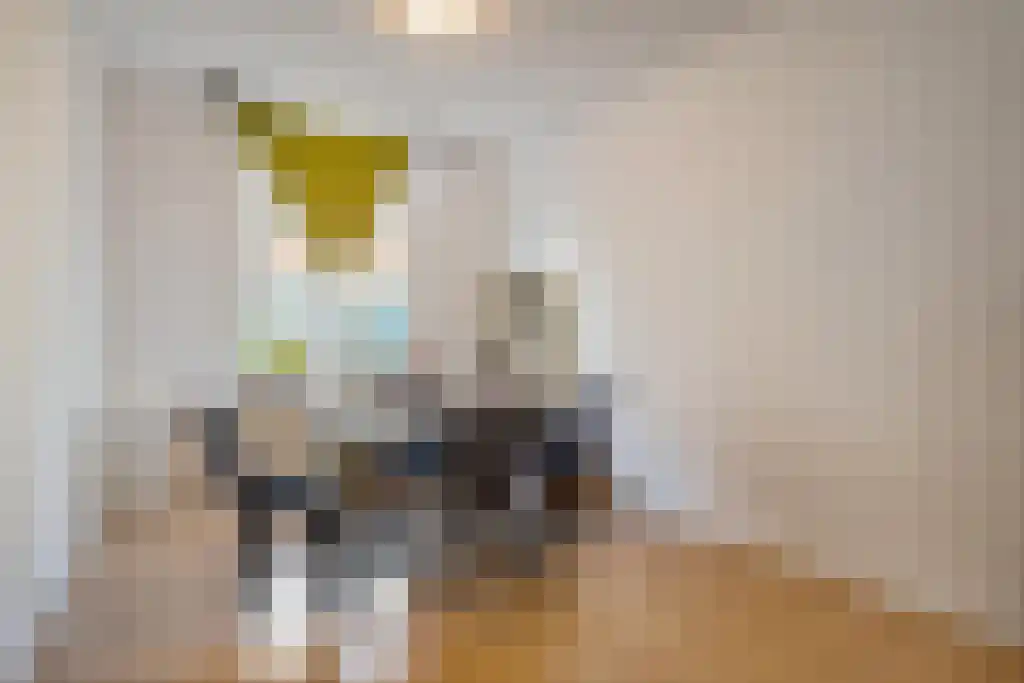 Gaslaan 240 Den Haag thumbnail 8