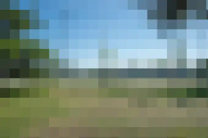 Gaslaan 246 Den Haag thumbnail 15