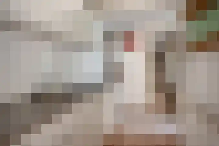 Gaslaan 246 Den Haag thumbnail 19