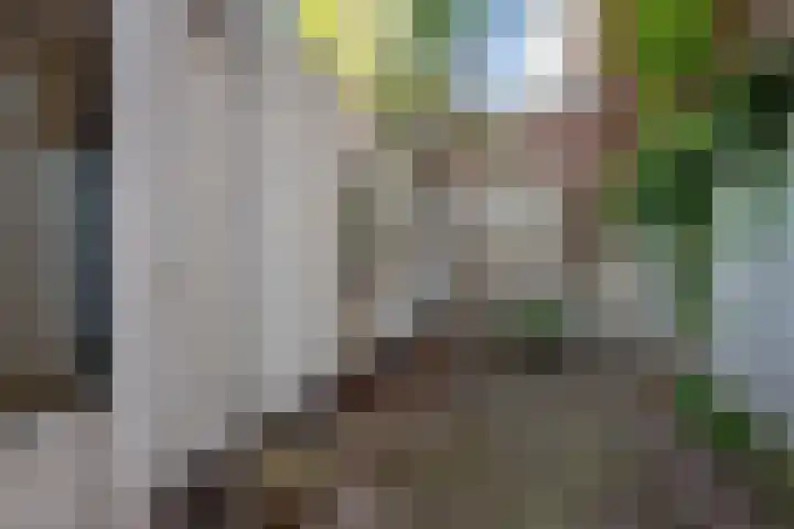 Gaslaan 246 Den Haag thumbnail 22