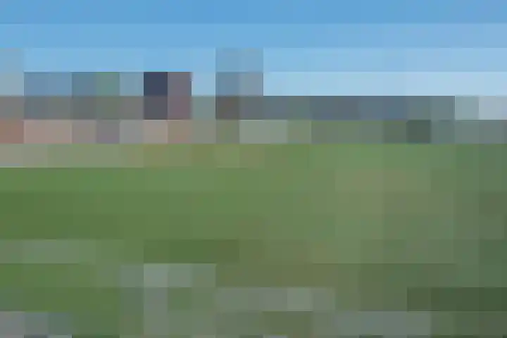 Gaslaan 246 Den Haag thumbnail 23