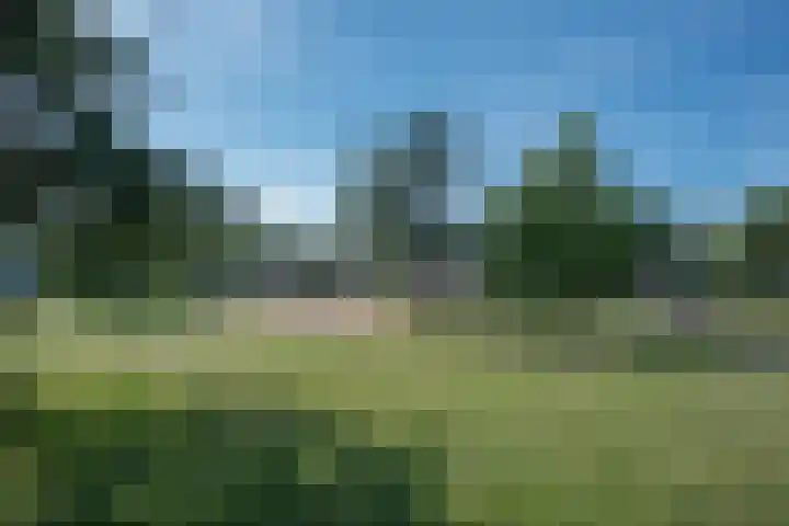 Gaslaan 246 Den Haag thumbnail 24