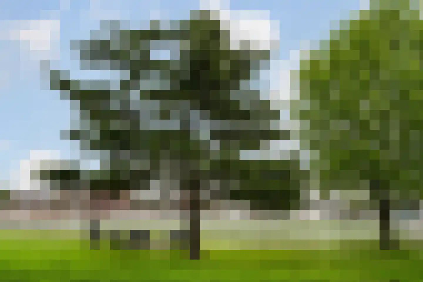 Gaslaan 251 Den Haag thumbnail 33