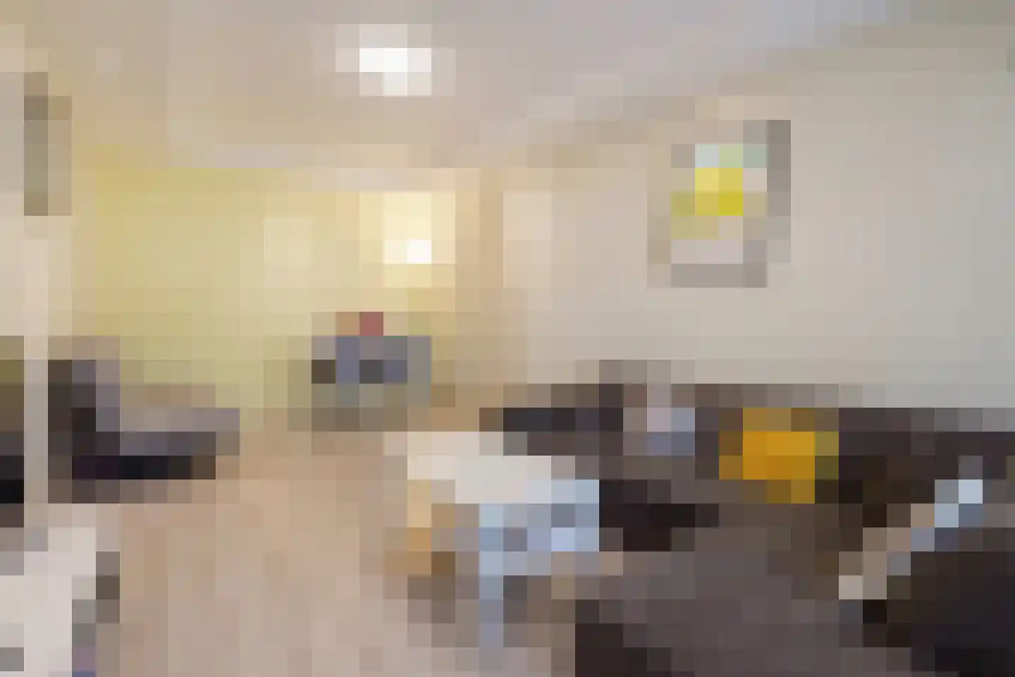 Gaslaan 251 Den Haag thumbnail 5