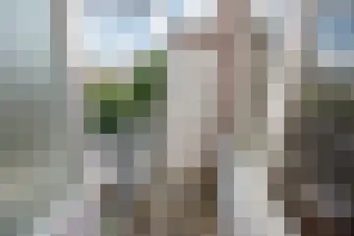 Gaslaan 271 Den Haag thumbnail 11