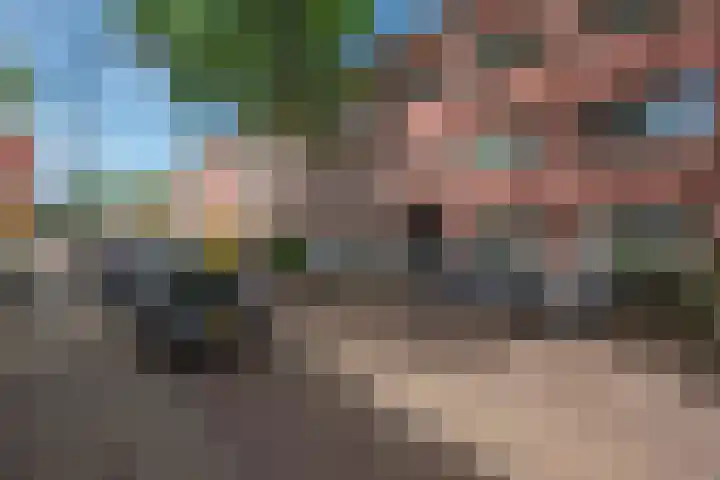 Gaslaan 271 Den Haag thumbnail 4