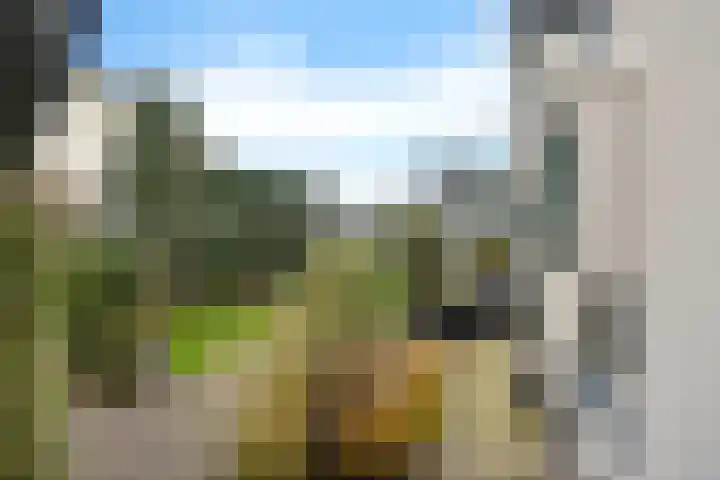 Gaslaan 95 Baarn thumbnail 21