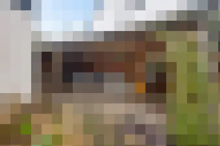 Gaslaan 95 Baarn thumbnail 22