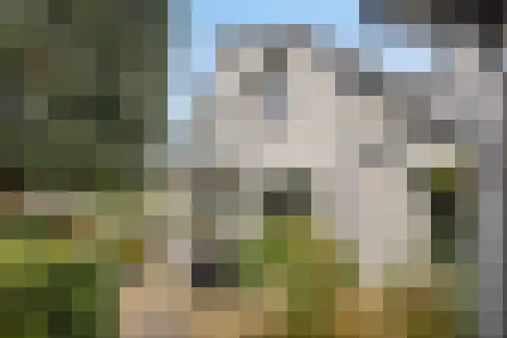 Gaslaan 95 Baarn thumbnail 24