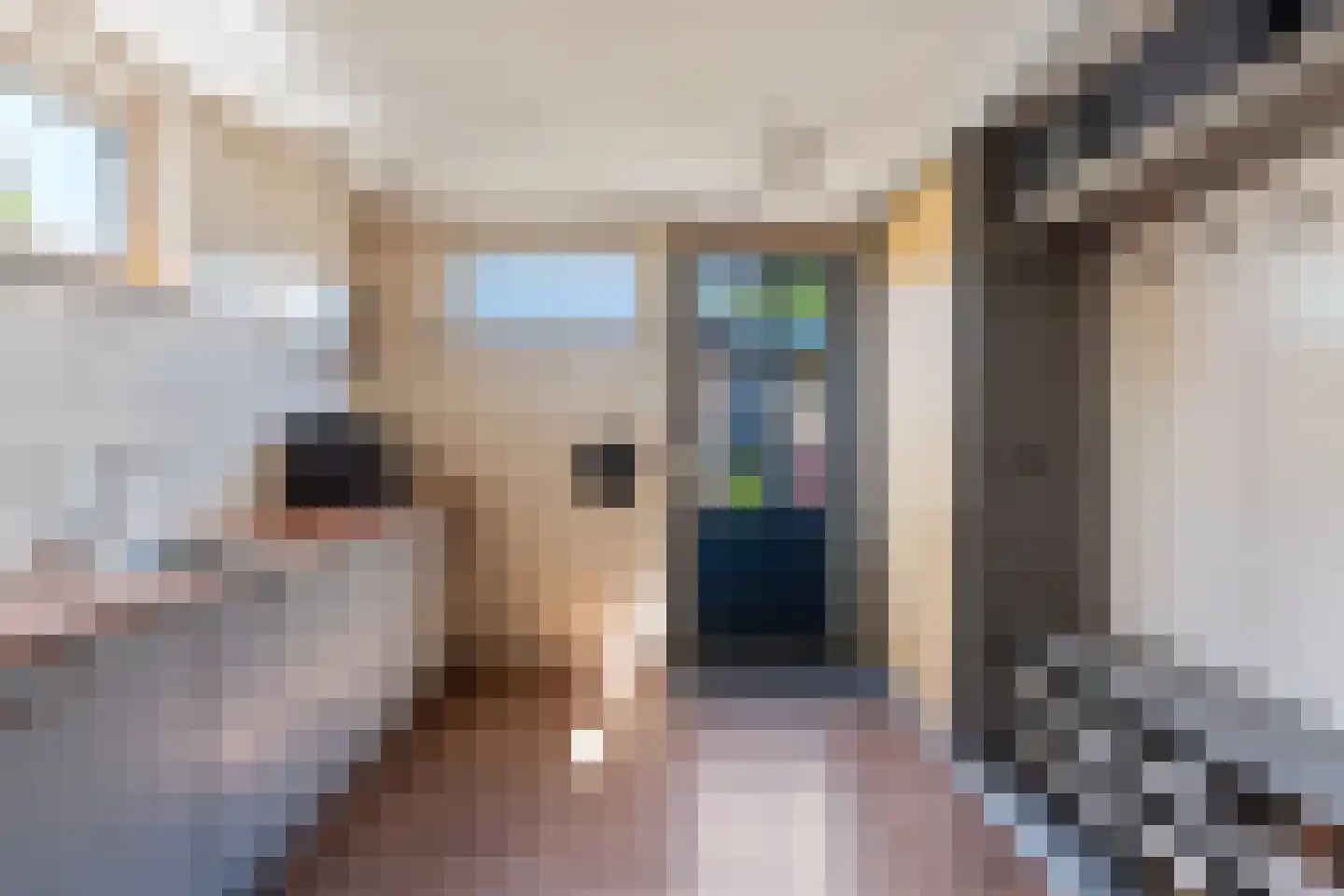 Gaspad 6 A Noord-Scharwoude thumbnail 14