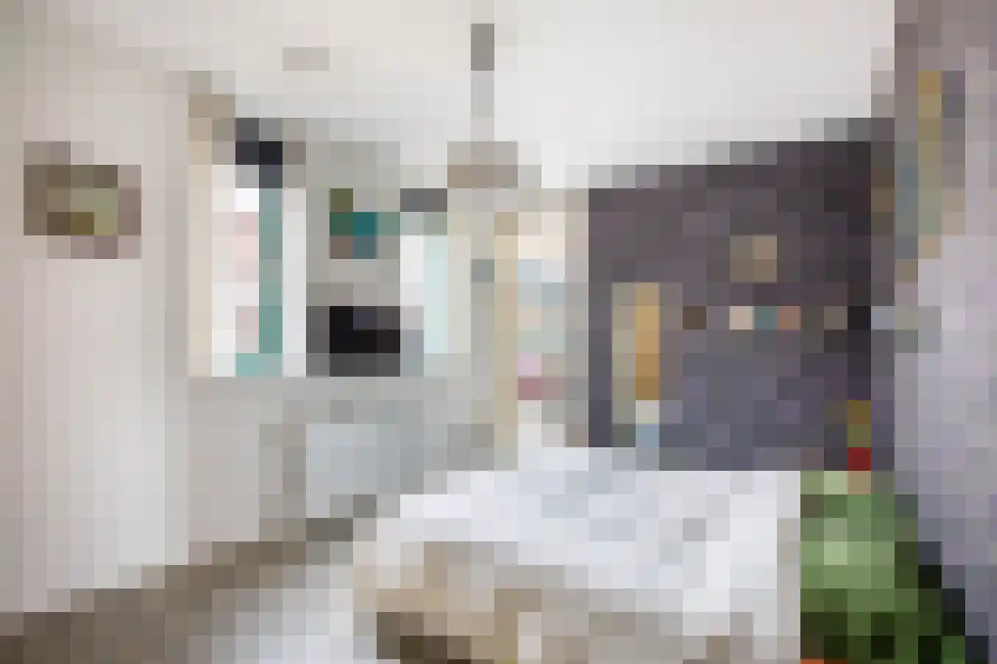 Gaspeldoorn 1 Bergambacht thumbnail 16