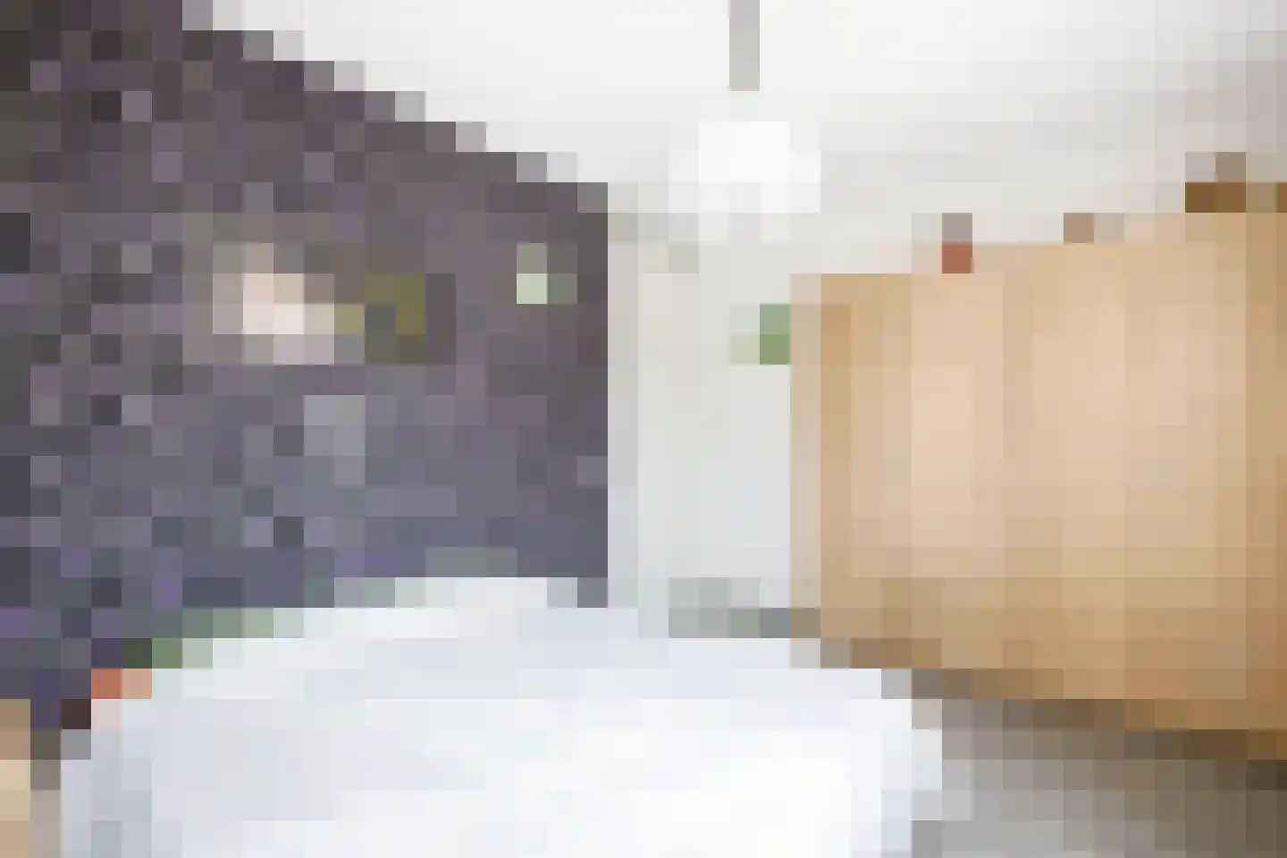 Gaspeldoorn 1 Bergambacht thumbnail 17