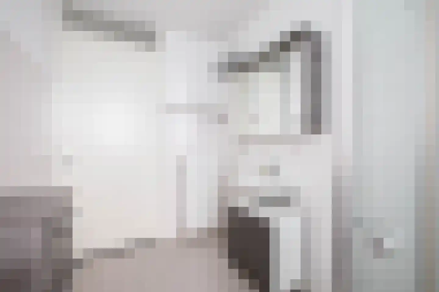 Gaspeldoorn 1 Bergambacht thumbnail 19