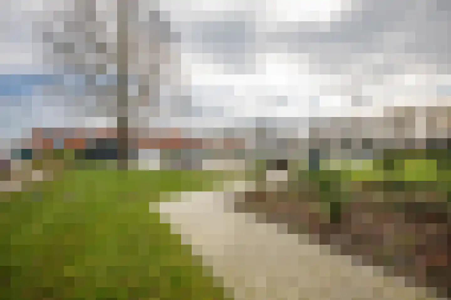 Gaspeldoorn 1 Bergambacht thumbnail 26
