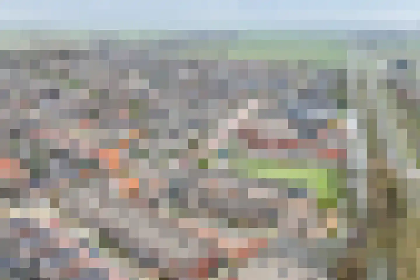 Gaspeldoorn 1 Bergambacht thumbnail 28