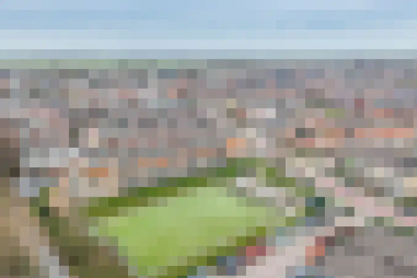 Gaspeldoorn 1 Bergambacht thumbnail 29