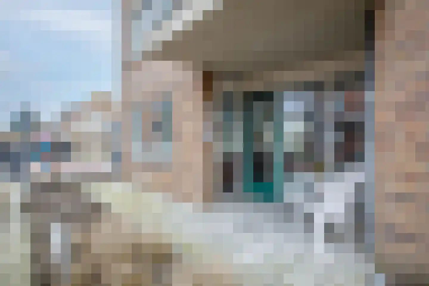 Gaspeldoorn 1 Bergambacht thumbnail 4