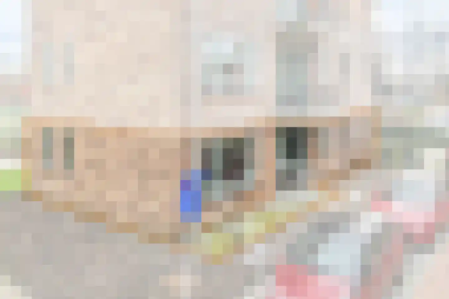 Gaspeldoorn 1 Bergambacht thumbnail 5