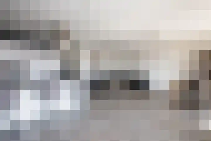 Gaspeldoorn 10 Bergambacht thumbnail 11
