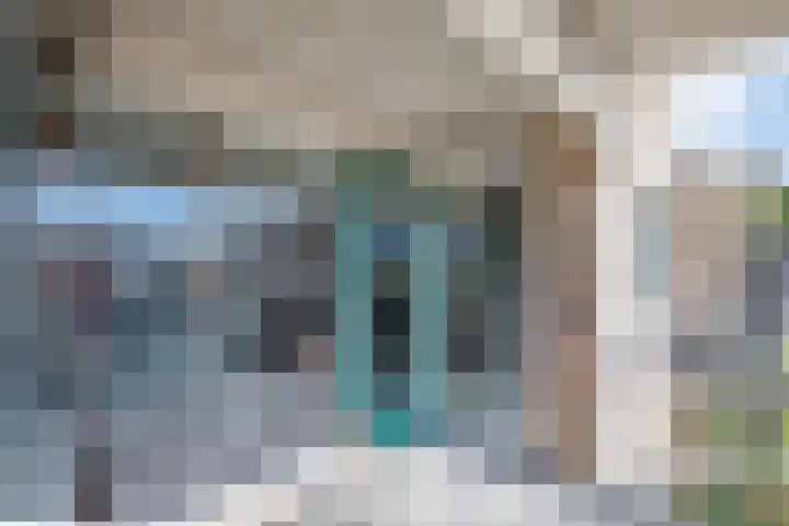 Gaspeldoorn 10 Bergambacht thumbnail 14