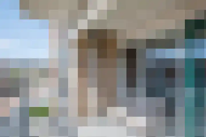 Gaspeldoorn 10 Bergambacht thumbnail 15
