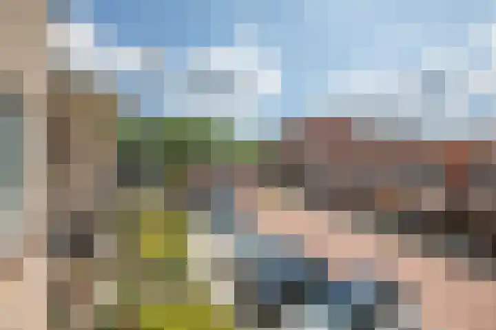 Gaspeldoorn 10 Bergambacht thumbnail 16