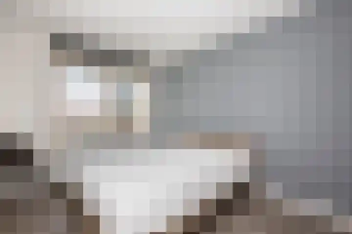 Gaspeldoorn 10 Bergambacht thumbnail 17