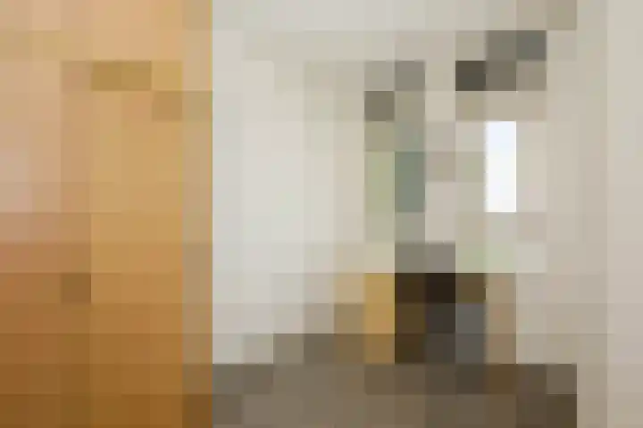 Gaspeldoorn 10 Bergambacht thumbnail 18