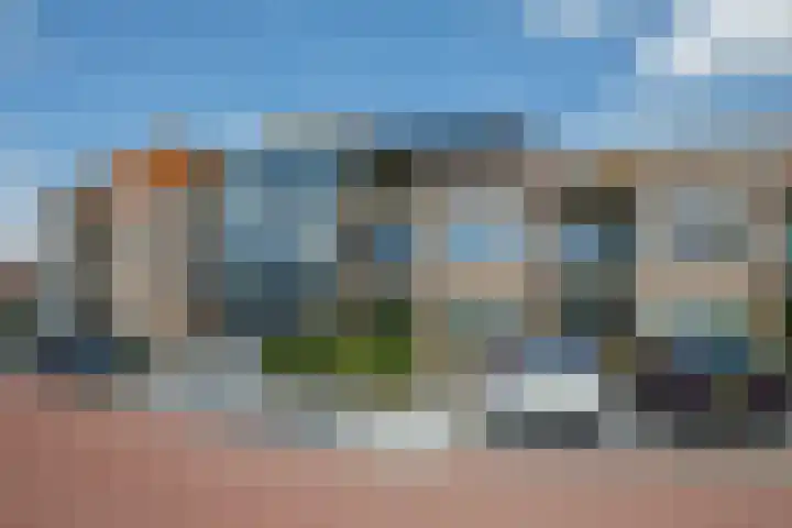 Gaspeldoorn 10 Bergambacht thumbnail 22