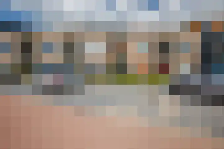 Gaspeldoorn 10 Bergambacht thumbnail 23