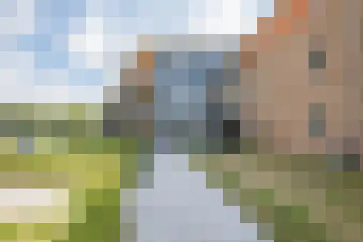Gaspeldoorn 10 Bergambacht thumbnail 25