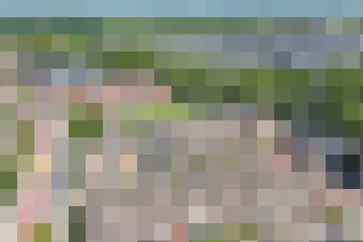Gaspeldoorn 10 Bergambacht thumbnail 28