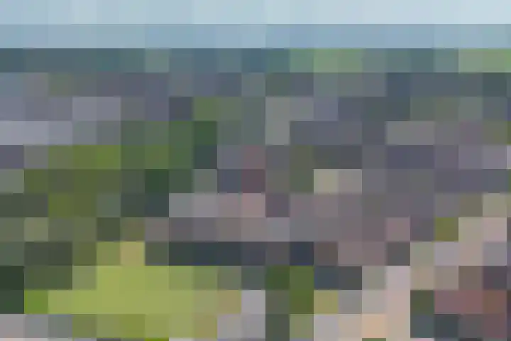 Gaspeldoorn 10 Bergambacht thumbnail 29