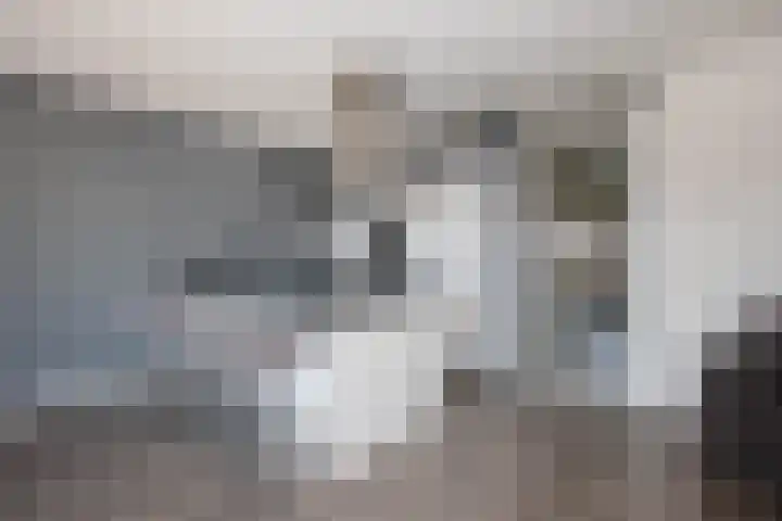 Gaspeldoorn 10 Bergambacht thumbnail 4
