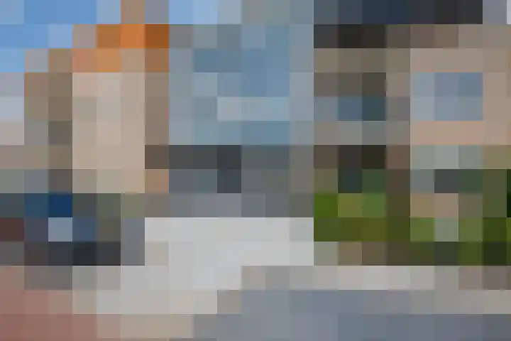 Gaspeldoorn 10 Bergambacht thumbnail 5