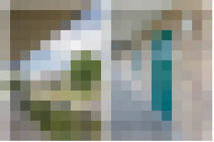 Gaspeldoorn 10 Bergambacht thumbnail 7