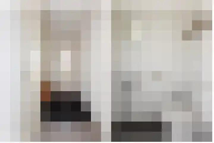 Gaspeldoorn 10 Bergambacht thumbnail 8