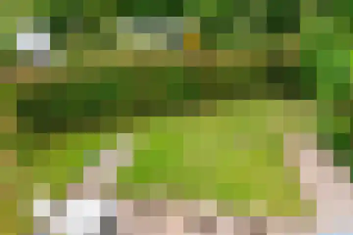 Gaspeldoorn 12 Maastricht thumbnail 36