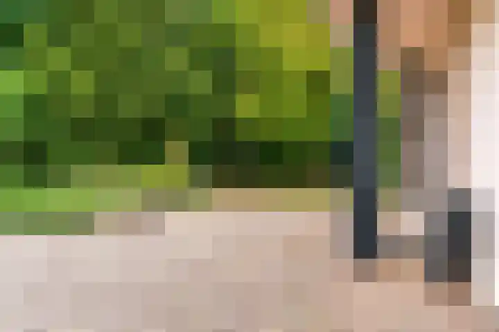 Gaspeldoorn 12 Maastricht thumbnail 38
