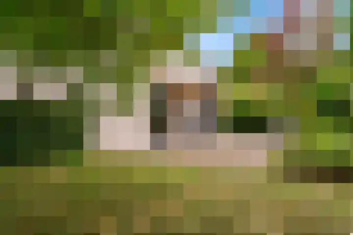 Gaspeldoorn 12 Maastricht thumbnail 41