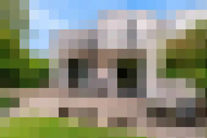 Gaspeldoorn 12 Maastricht thumbnail 42
