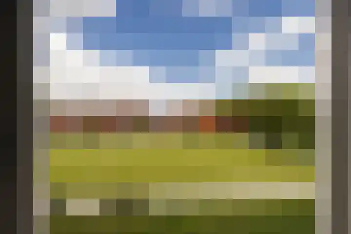 Gaspeldoorn 15 Bergambacht thumbnail 10