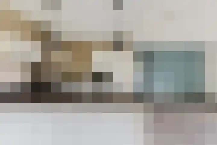 Gaspeldoorn 15 Bergambacht thumbnail 11