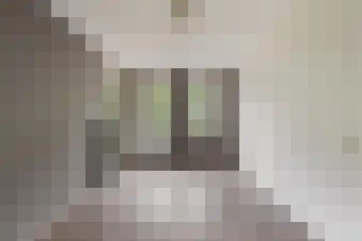 Gaspeldoorn 15 Bergambacht thumbnail 15