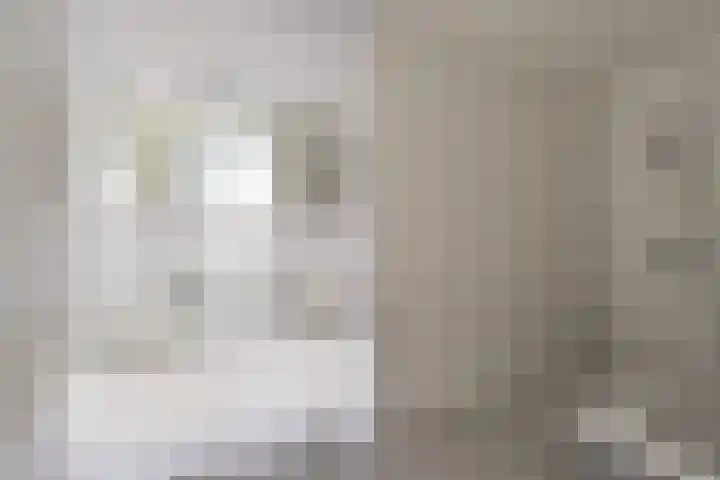 Gaspeldoorn 15 Bergambacht thumbnail 21